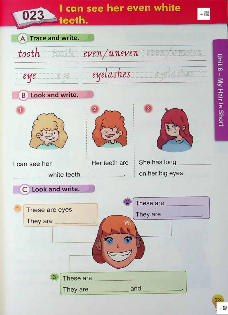 2英语~写霸_26春四年级上下册人教版_四上英语合集人教版PEP英语四年级上册新教材（教学视频+课件+动画+音频+练习+教案）_17练习资料_小学英语（预习复习资料大礼包）