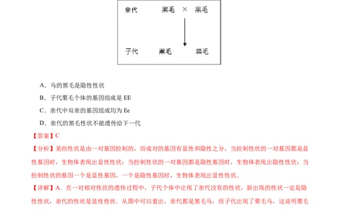 专题12生物的遗传和变异（全国通用）（解析版）_02中考总复习（2026版更新中）_08-生物-中考总复习_2026年中考复习（更新中）