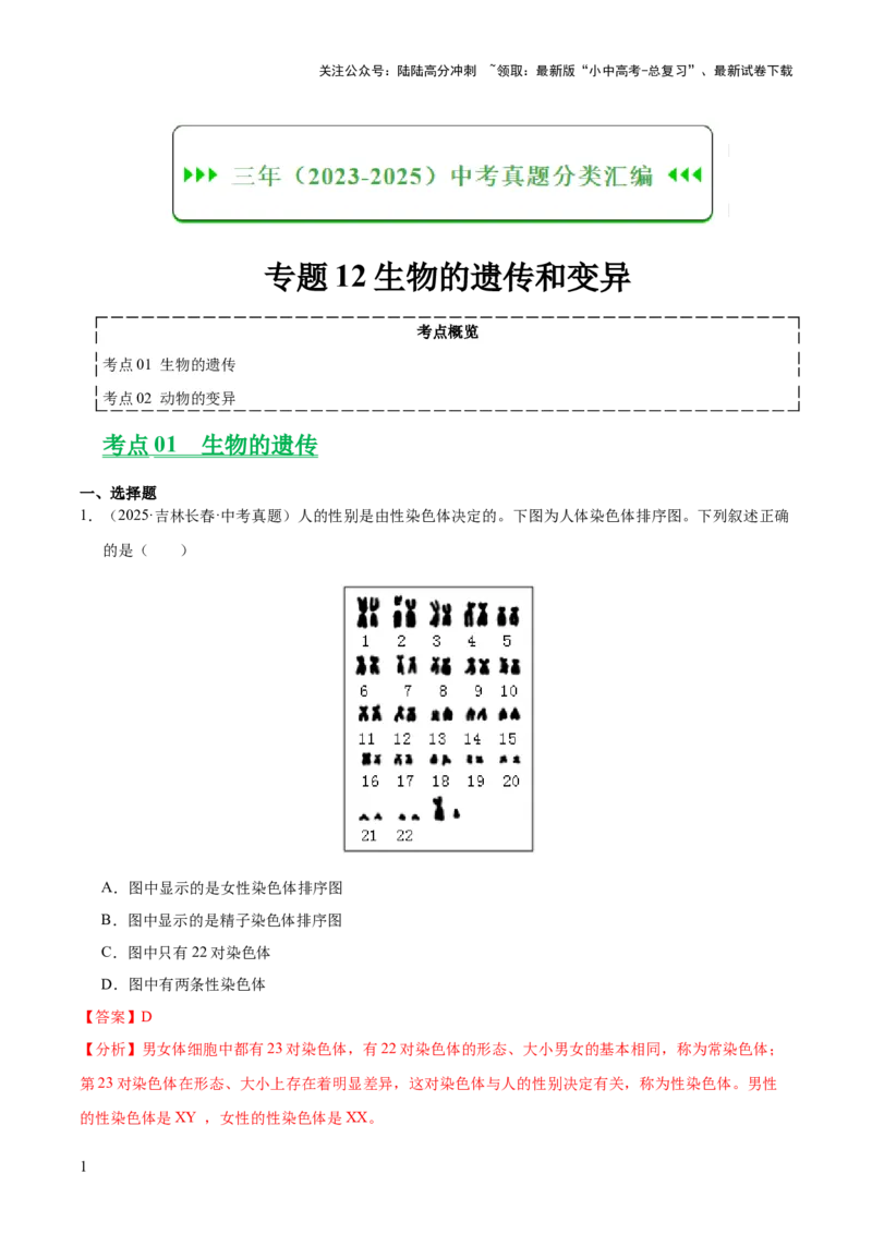 专题12生物的遗传和变异（全国通用）（解析版）_02中考总复习（2026版更新中）_08-生物-中考总复习_2026年中考复习（更新中）