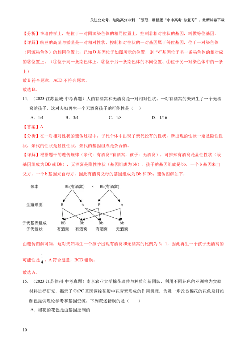 专题12生物的遗传和变异（全国通用）（解析版）_02中考总复习（2026版更新中）_08-生物-中考总复习_2026年中考复习（更新中）