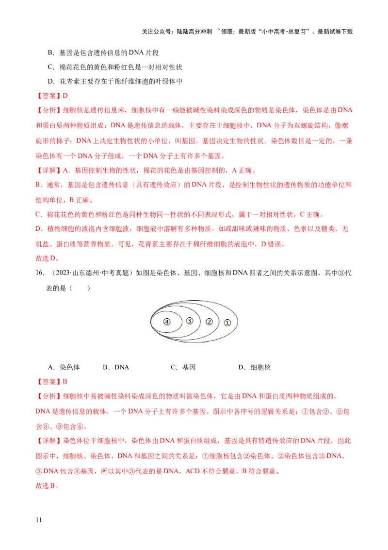 专题12生物的遗传和变异（全国通用）（解析版）_02中考总复习（2026版更新中）_08-生物-中考总复习_2026年中考复习（更新中）