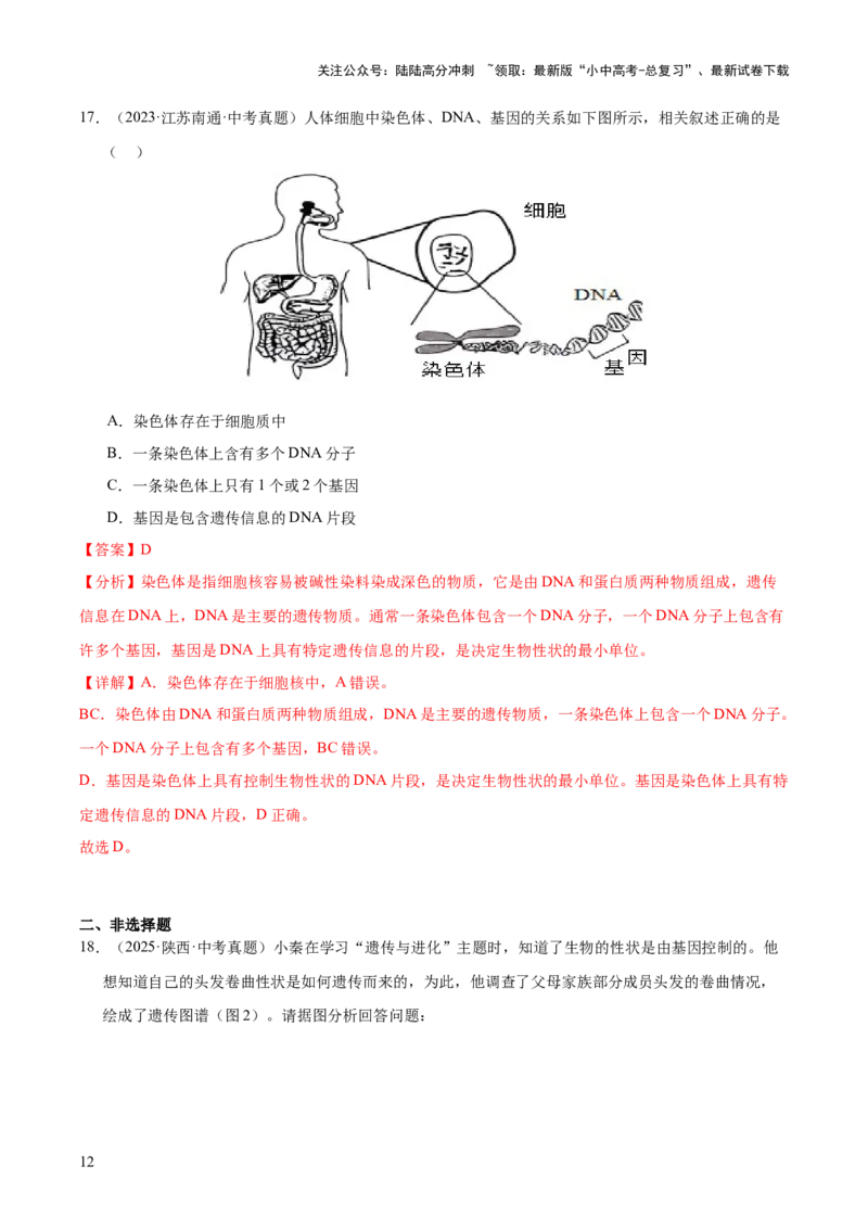 专题12生物的遗传和变异（全国通用）（解析版）_02中考总复习（2026版更新中）_08-生物-中考总复习_2026年中考复习（更新中）