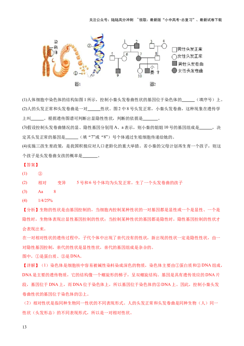 专题12生物的遗传和变异（全国通用）（解析版）_02中考总复习（2026版更新中）_08-生物-中考总复习_2026年中考复习（更新中）