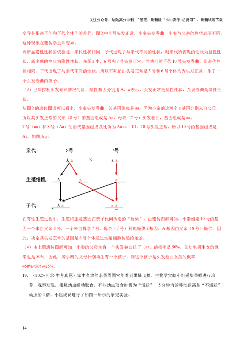 专题12生物的遗传和变异（全国通用）（解析版）_02中考总复习（2026版更新中）_08-生物-中考总复习_2026年中考复习（更新中）