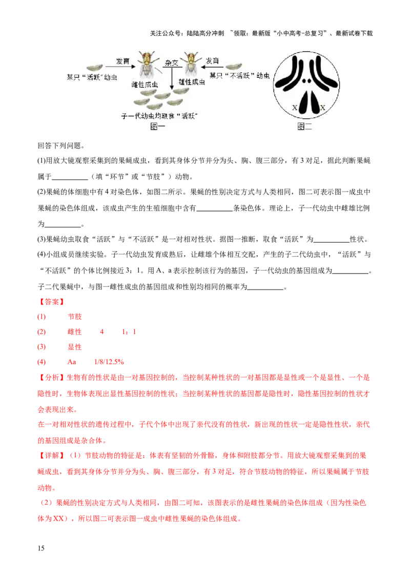 专题12生物的遗传和变异（全国通用）（解析版）_02中考总复习（2026版更新中）_08-生物-中考总复习_2026年中考复习（更新中）