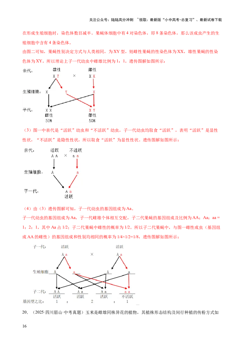 专题12生物的遗传和变异（全国通用）（解析版）_02中考总复习（2026版更新中）_08-生物-中考总复习_2026年中考复习（更新中）