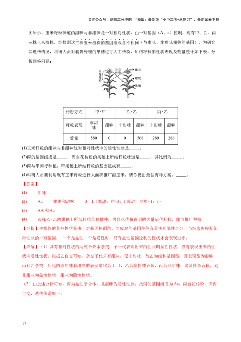 专题12生物的遗传和变异（全国通用）（解析版）_02中考总复习（2026版更新中）_08-生物-中考总复习_2026年中考复习（更新中）