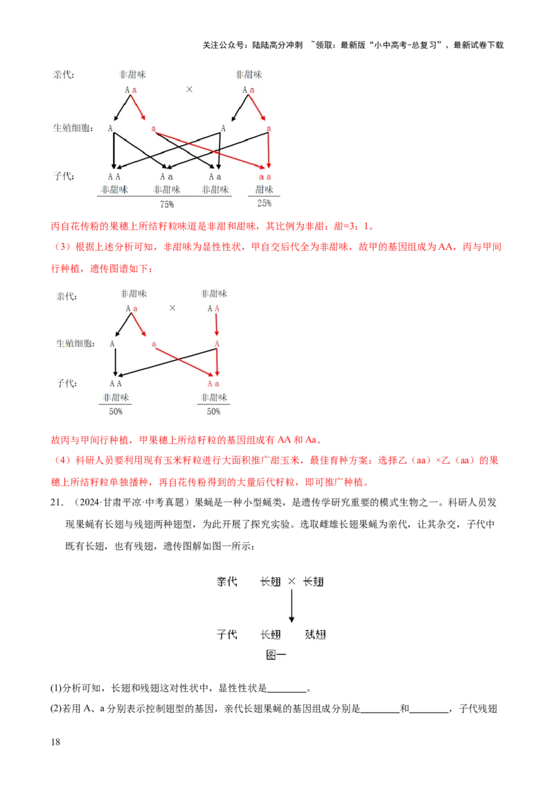 专题12生物的遗传和变异（全国通用）（解析版）_02中考总复习（2026版更新中）_08-生物-中考总复习_2026年中考复习（更新中）