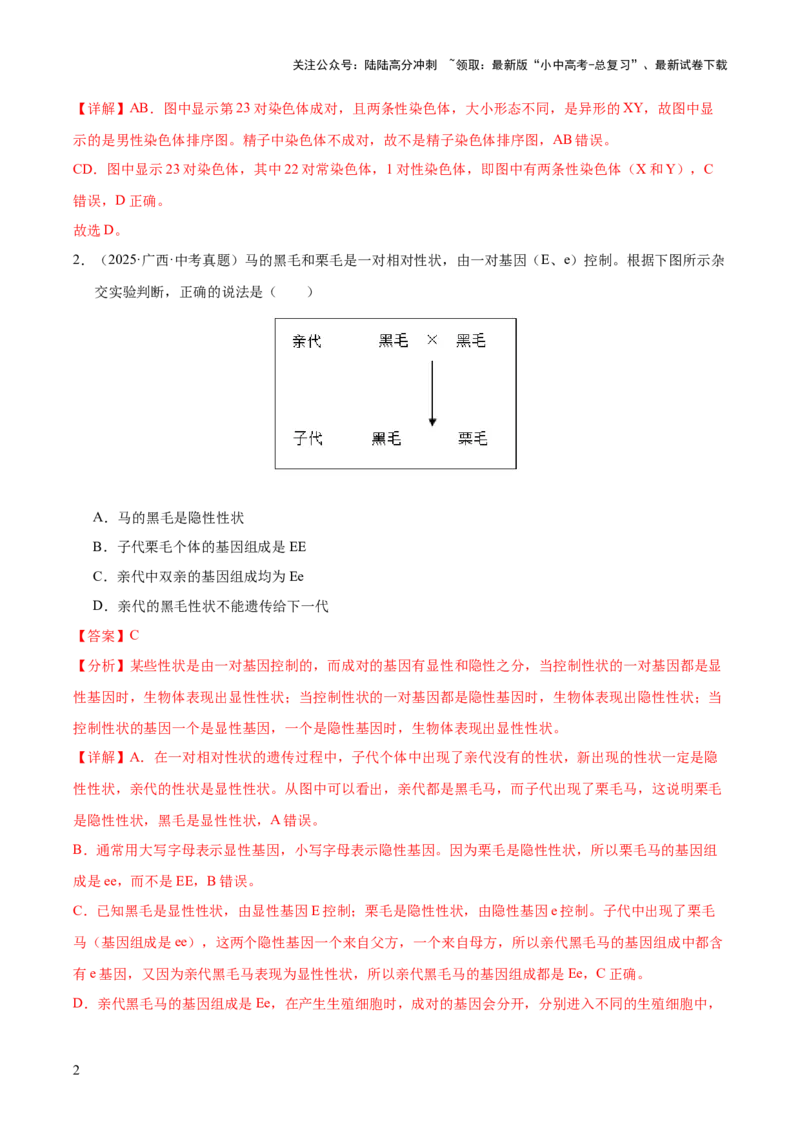 专题12生物的遗传和变异（全国通用）（解析版）_02中考总复习（2026版更新中）_08-生物-中考总复习_2026年中考复习（更新中）