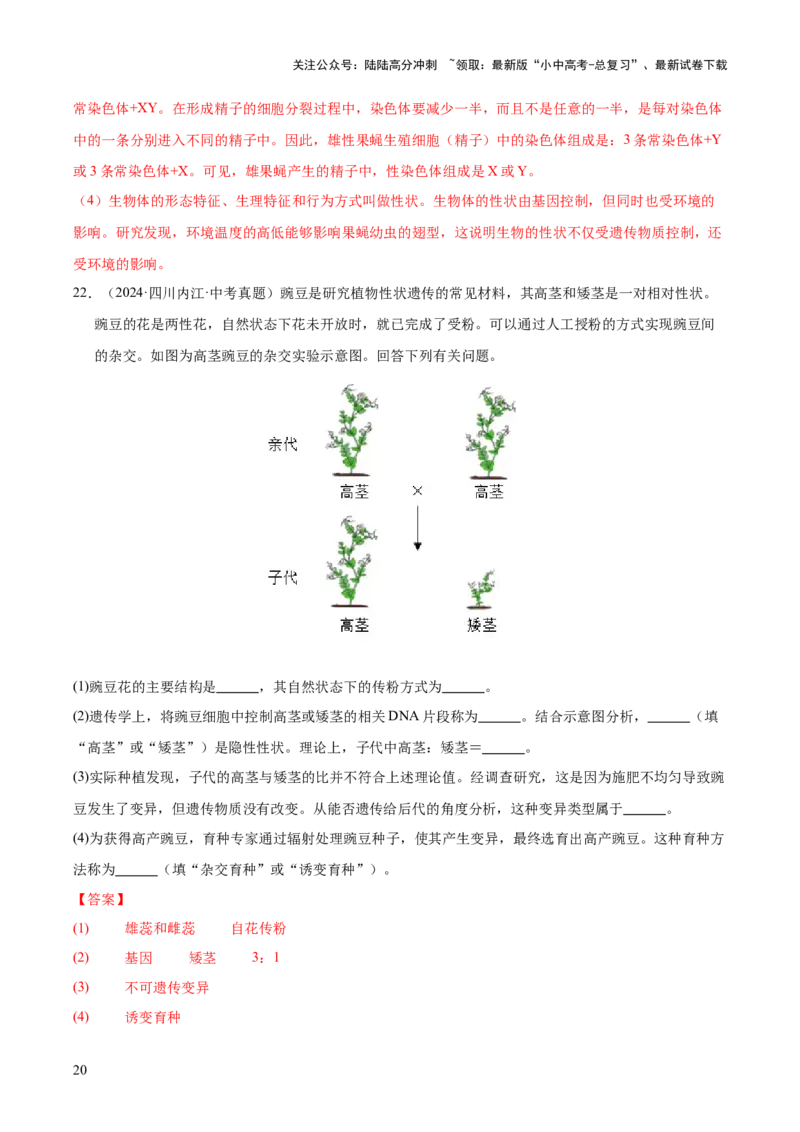 专题12生物的遗传和变异（全国通用）（解析版）_02中考总复习（2026版更新中）_08-生物-中考总复习_2026年中考复习（更新中）