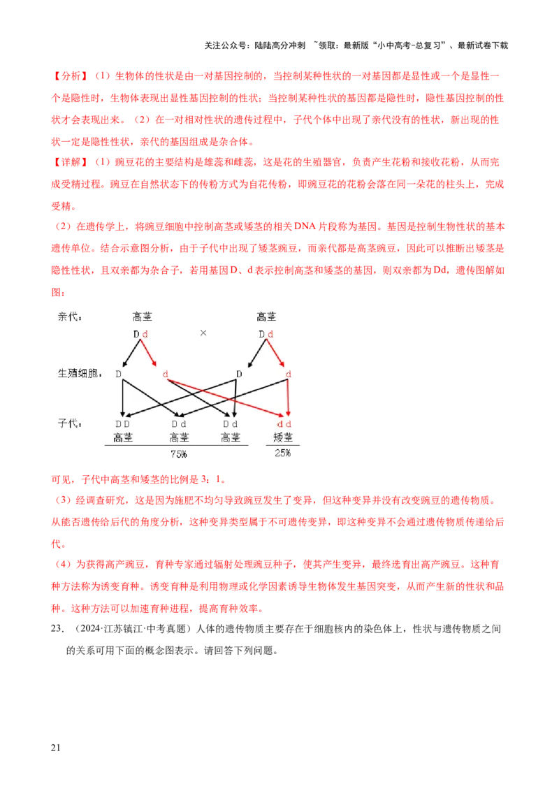 专题12生物的遗传和变异（全国通用）（解析版）_02中考总复习（2026版更新中）_08-生物-中考总复习_2026年中考复习（更新中）