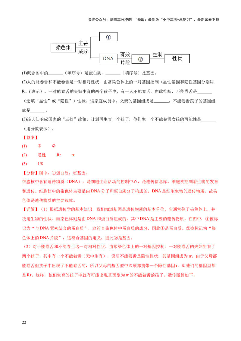 专题12生物的遗传和变异（全国通用）（解析版）_02中考总复习（2026版更新中）_08-生物-中考总复习_2026年中考复习（更新中）