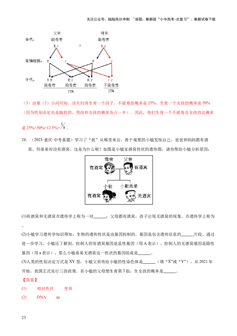 专题12生物的遗传和变异（全国通用）（解析版）_02中考总复习（2026版更新中）_08-生物-中考总复习_2026年中考复习（更新中）