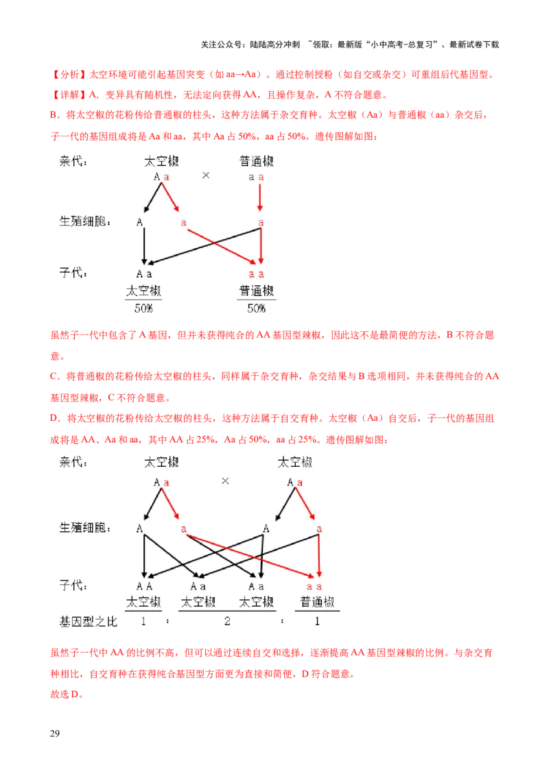 专题12生物的遗传和变异（全国通用）（解析版）_02中考总复习（2026版更新中）_08-生物-中考总复习_2026年中考复习（更新中）