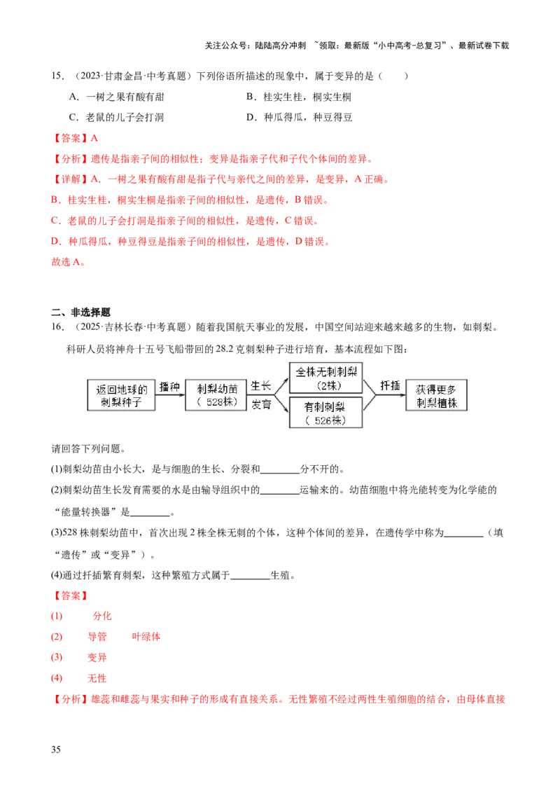 专题12生物的遗传和变异（全国通用）（解析版）_02中考总复习（2026版更新中）_08-生物-中考总复习_2026年中考复习（更新中）
