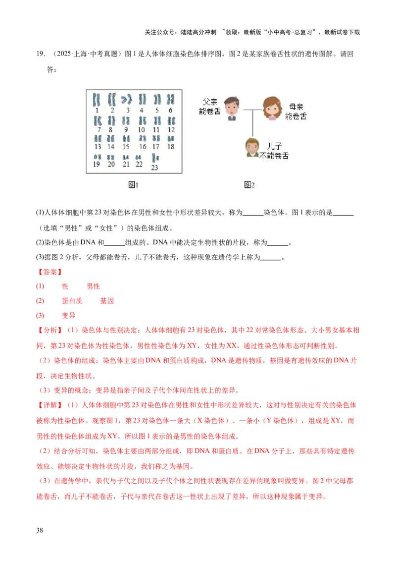 专题12生物的遗传和变异（全国通用）（解析版）_02中考总复习（2026版更新中）_08-生物-中考总复习_2026年中考复习（更新中）