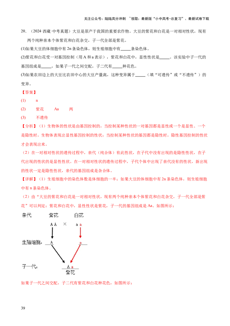 专题12生物的遗传和变异（全国通用）（解析版）_02中考总复习（2026版更新中）_08-生物-中考总复习_2026年中考复习（更新中）