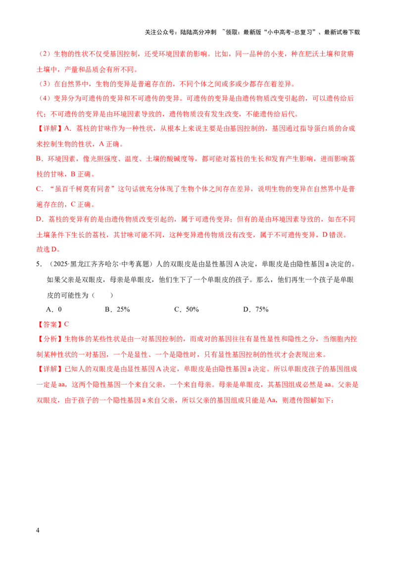 专题12生物的遗传和变异（全国通用）（解析版）_02中考总复习（2026版更新中）_08-生物-中考总复习_2026年中考复习（更新中）
