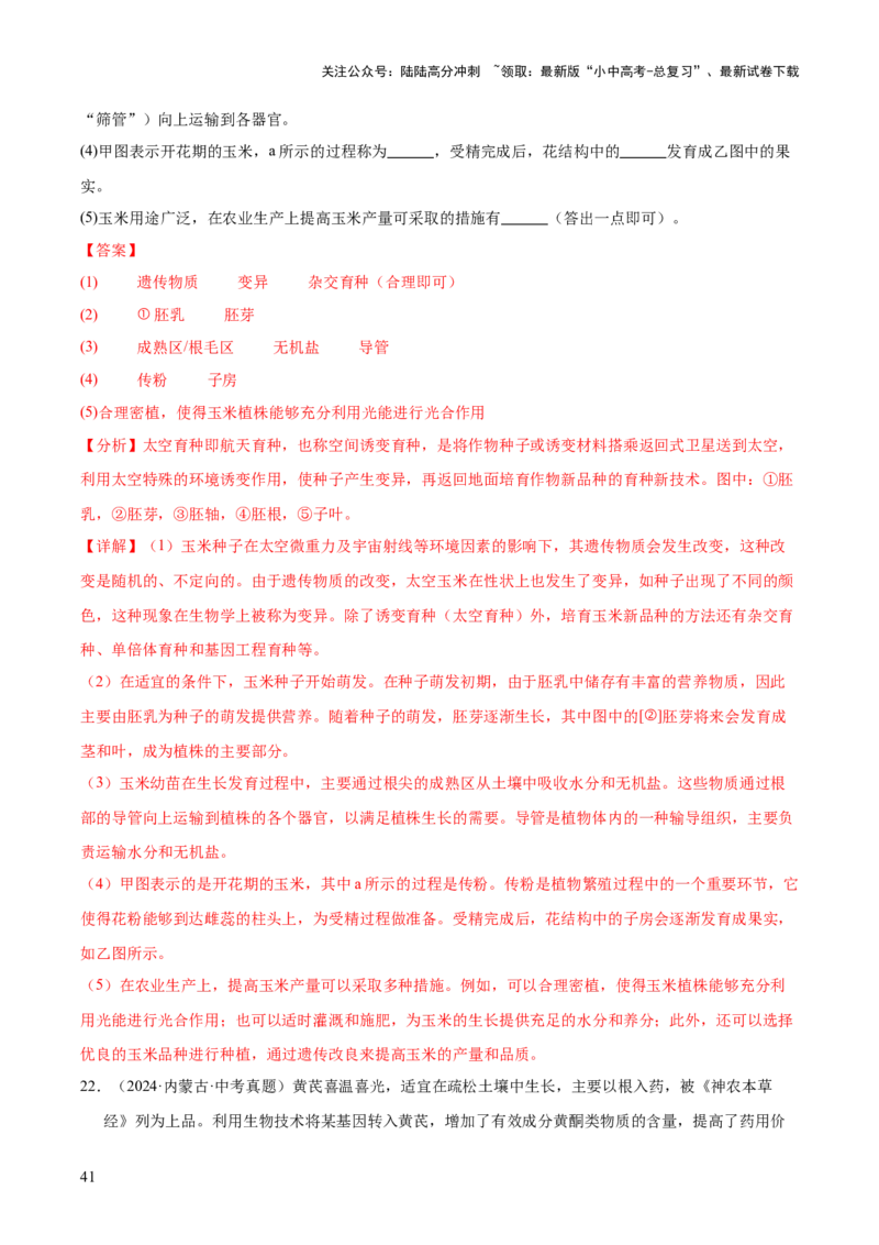 专题12生物的遗传和变异（全国通用）（解析版）_02中考总复习（2026版更新中）_08-生物-中考总复习_2026年中考复习（更新中）