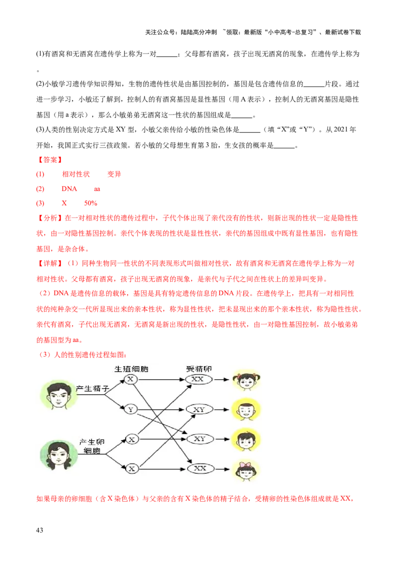 专题12生物的遗传和变异（全国通用）（解析版）_02中考总复习（2026版更新中）_08-生物-中考总复习_2026年中考复习（更新中）