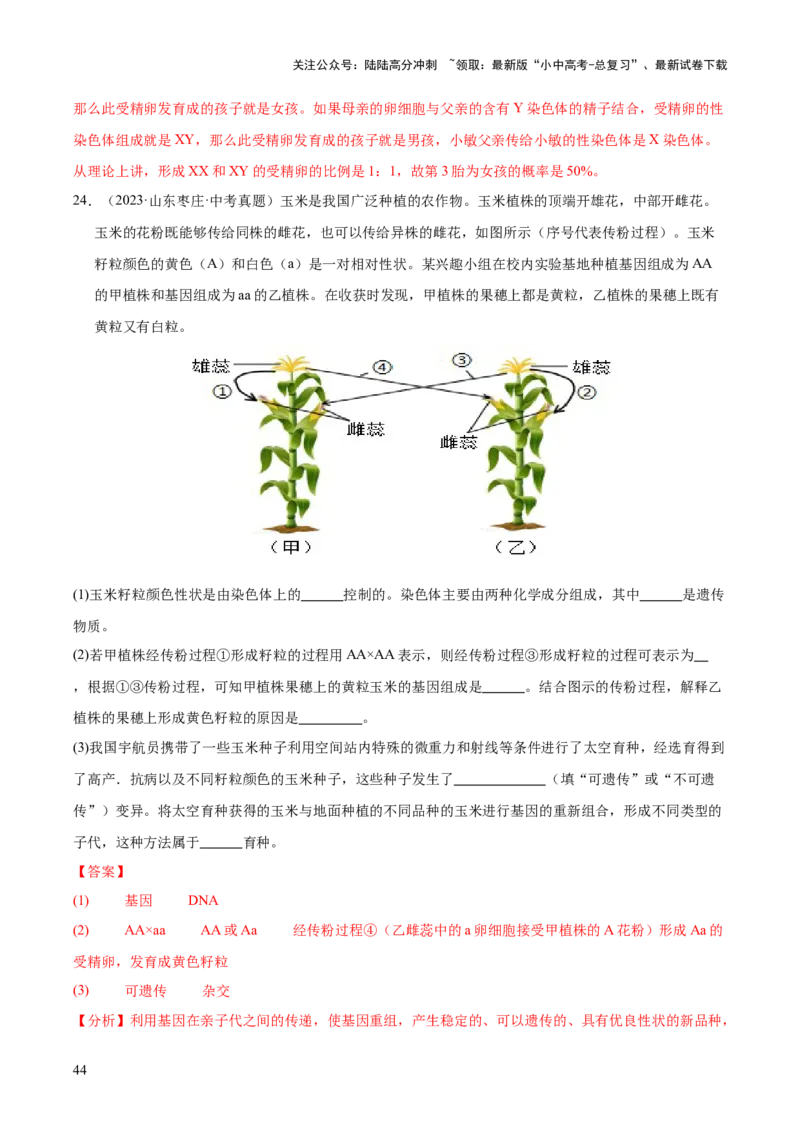 专题12生物的遗传和变异（全国通用）（解析版）_02中考总复习（2026版更新中）_08-生物-中考总复习_2026年中考复习（更新中）