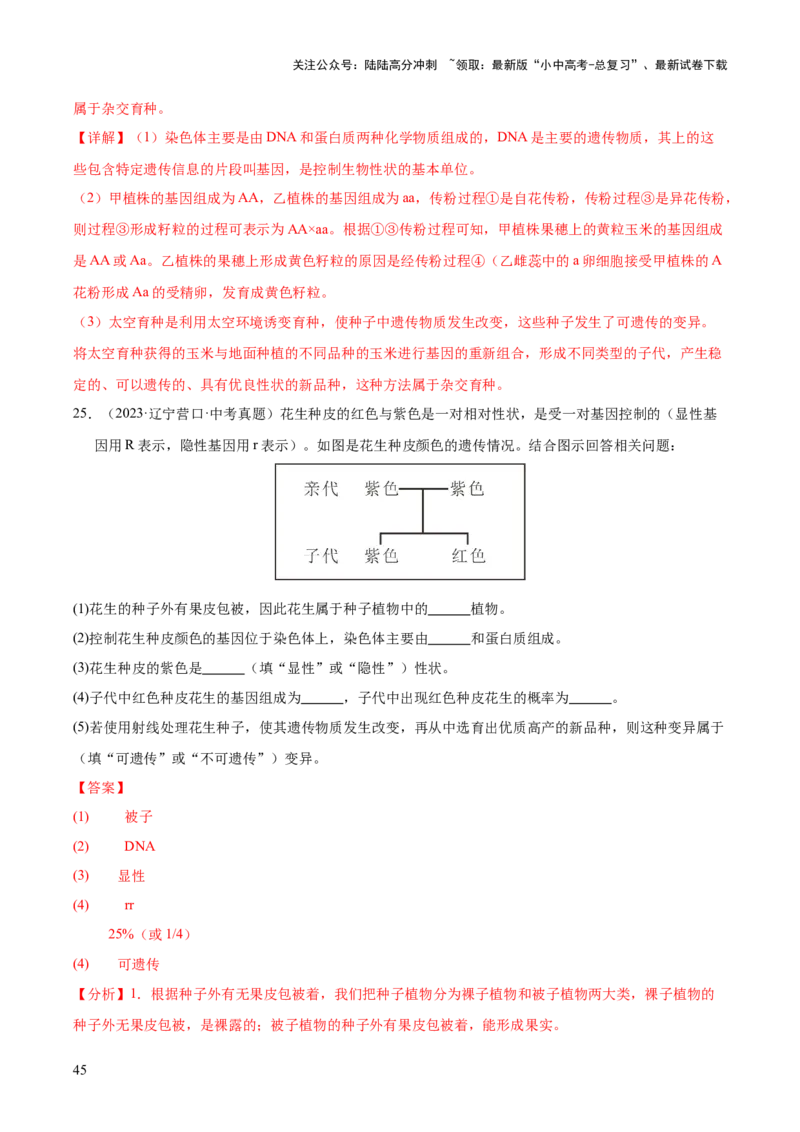 专题12生物的遗传和变异（全国通用）（解析版）_02中考总复习（2026版更新中）_08-生物-中考总复习_2026年中考复习（更新中）