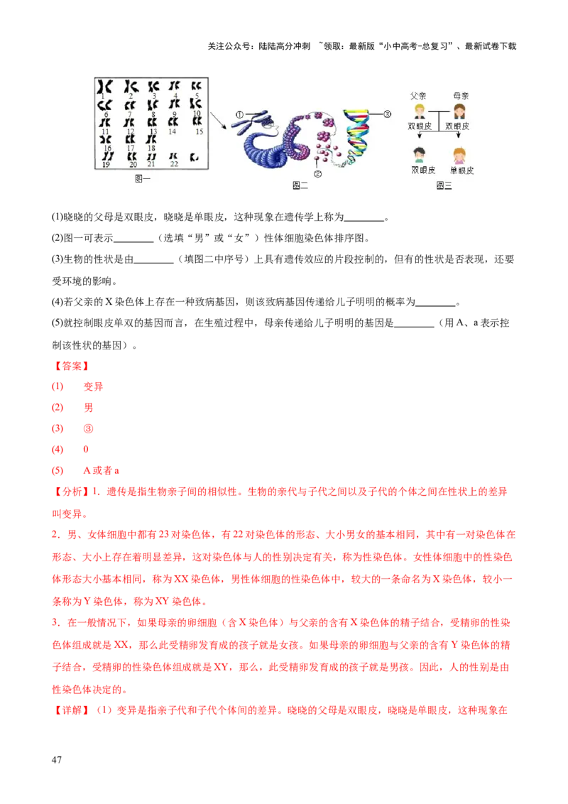 专题12生物的遗传和变异（全国通用）（解析版）_02中考总复习（2026版更新中）_08-生物-中考总复习_2026年中考复习（更新中）