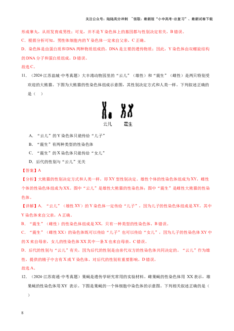专题12生物的遗传和变异（全国通用）（解析版）_02中考总复习（2026版更新中）_08-生物-中考总复习_2026年中考复习（更新中）