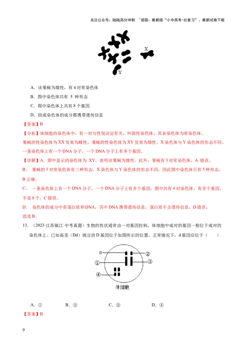 专题12生物的遗传和变异（全国通用）（解析版）_02中考总复习（2026版更新中）_08-生物-中考总复习_2026年中考复习（更新中）