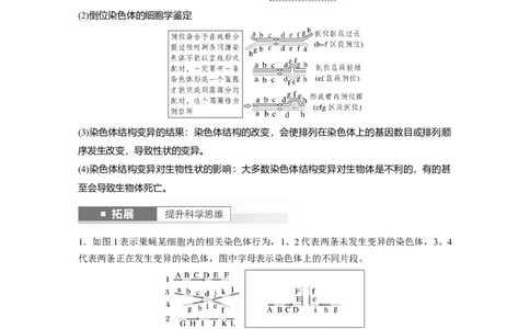 2024年高考生物一轮复习（新人教版）第7单元　第2课时　染色体变异_09高考生物_2024年新高考资料_1.2024一轮复习_2024年高考生物一轮复习讲义（新人教版）