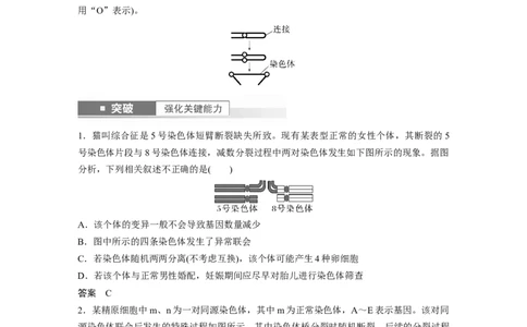 2024年高考生物一轮复习（新人教版）第7单元　第2课时　染色体变异_09高考生物_2024年新高考资料_1.2024一轮复习_2024年高考生物一轮复习讲义（新人教版）