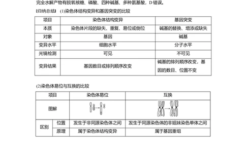 2024年高考生物一轮复习（新人教版）第7单元　第2课时　染色体变异_09高考生物_2024年新高考资料_1.2024一轮复习_2024年高考生物一轮复习讲义（新人教版）