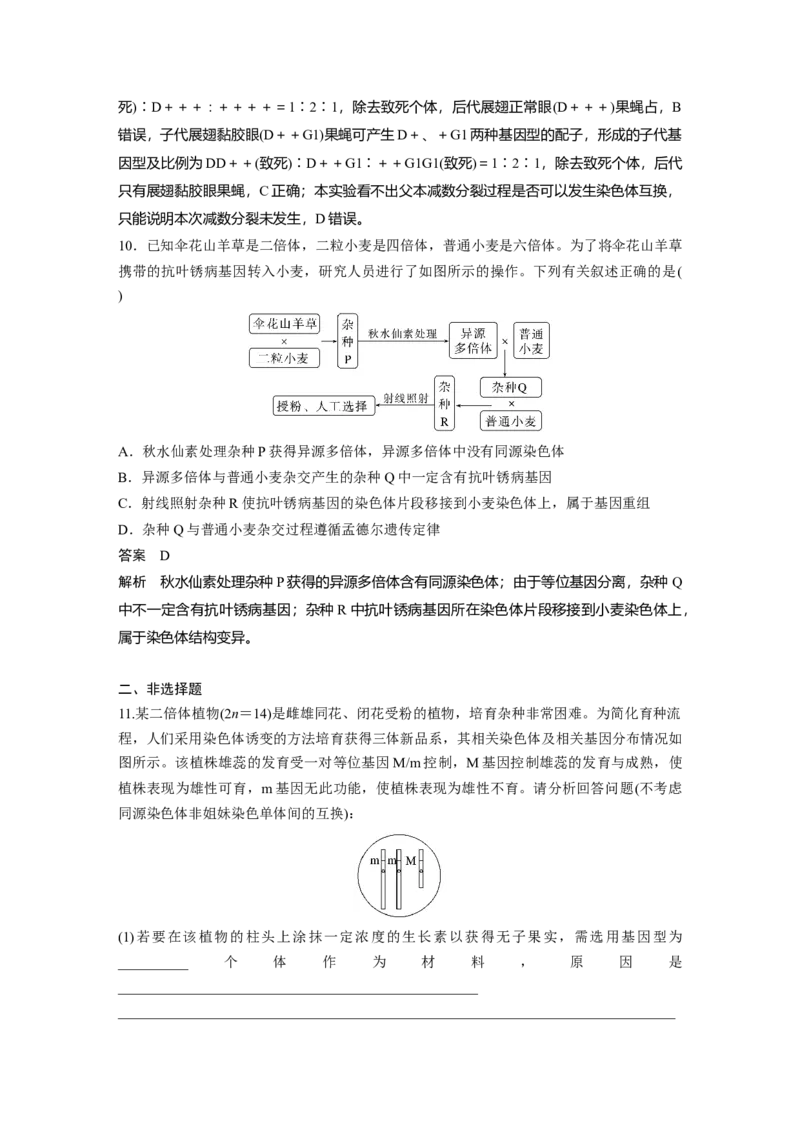 2024年高考生物一轮复习（新人教版）第7单元　第2课时　染色体变异_09高考生物_2024年新高考资料_1.2024一轮复习_2024年高考生物一轮复习讲义（新人教版）