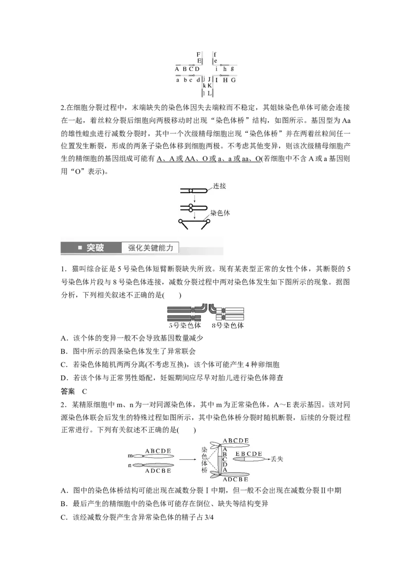 2024年高考生物一轮复习（新人教版）第7单元　第2课时　染色体变异_09高考生物_2024年新高考资料_1.2024一轮复习_2024年高考生物一轮复习讲义（新人教版）