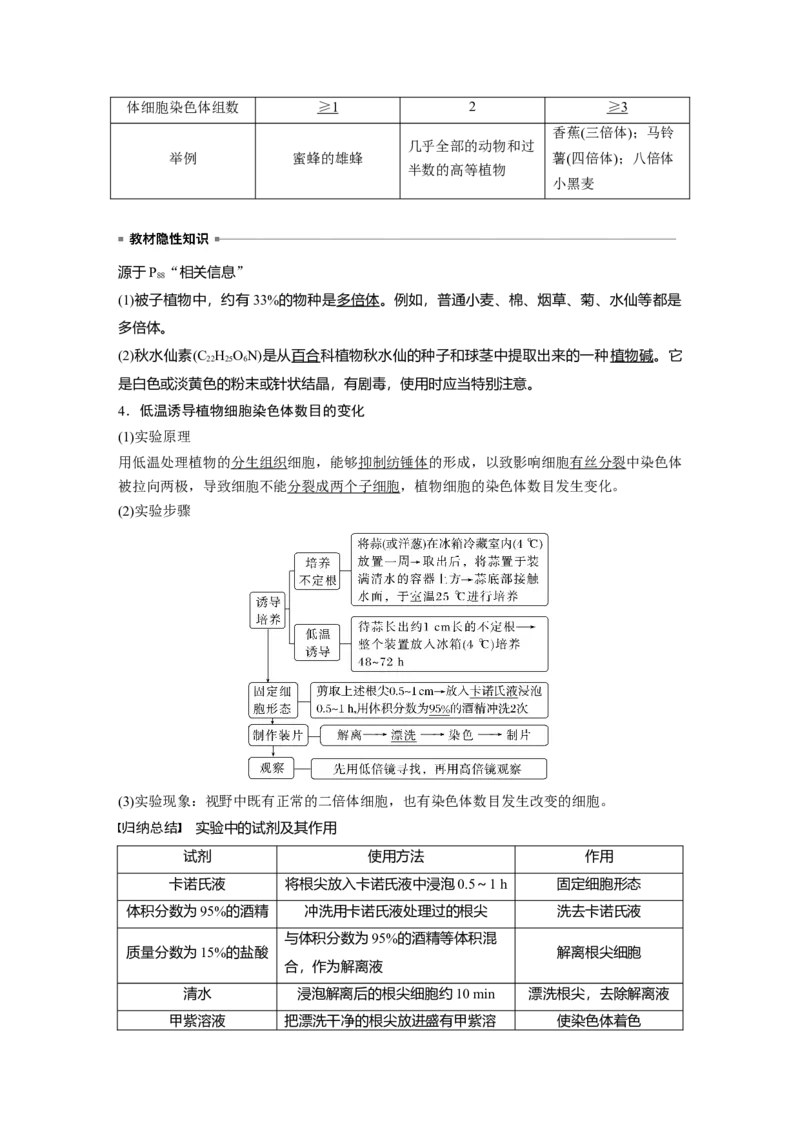 2024年高考生物一轮复习（新人教版）第7单元　第2课时　染色体变异_09高考生物_2024年新高考资料_1.2024一轮复习_2024年高考生物一轮复习讲义（新人教版）