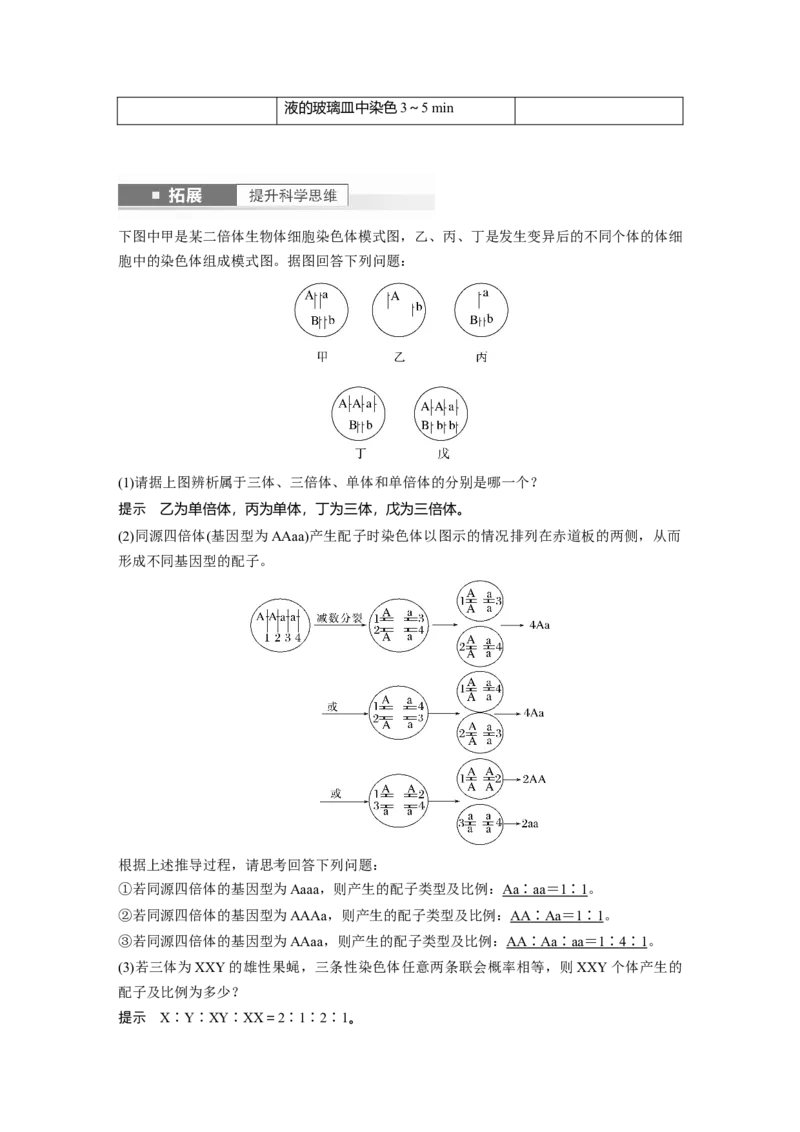 2024年高考生物一轮复习（新人教版）第7单元　第2课时　染色体变异_09高考生物_2024年新高考资料_1.2024一轮复习_2024年高考生物一轮复习讲义（新人教版）