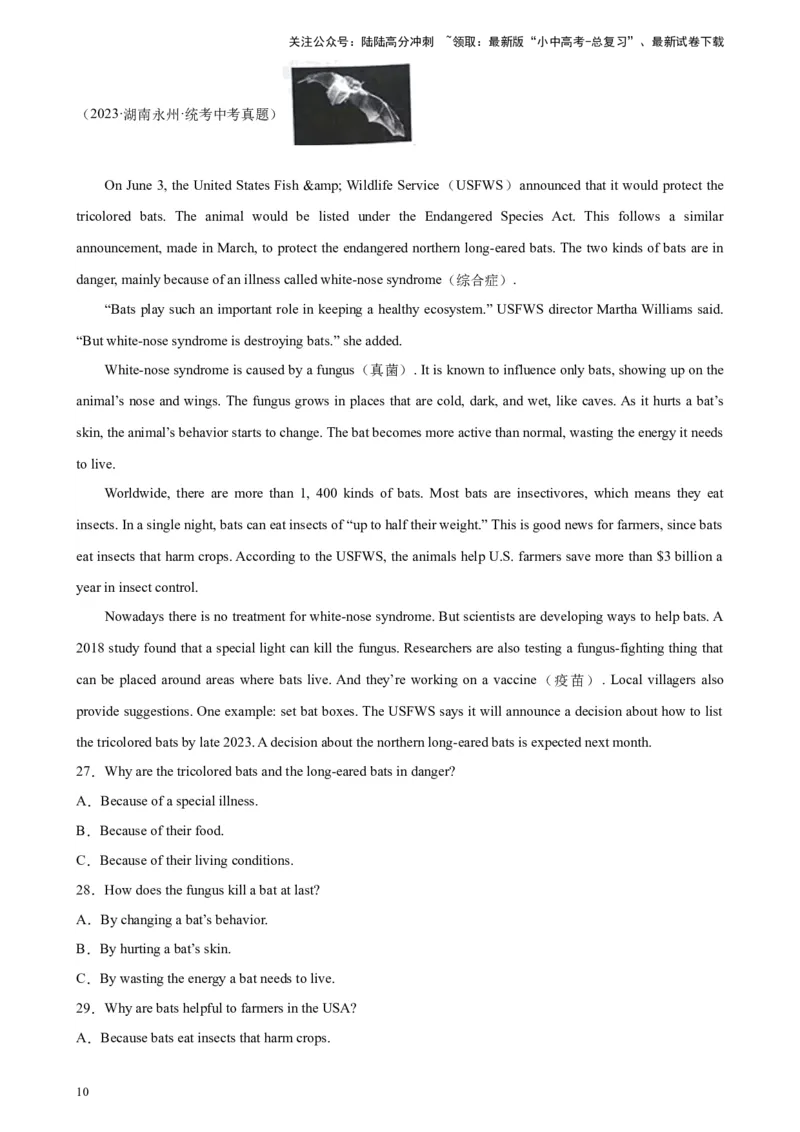 专题06阅读理解之说明文-5年（2019-2023）中考1年模拟英语真题分项汇编（全国通用）（解析版）_02中考总复习（2026版更新中）_03-英语-中考总复习_2024年中考复习资料_专项复习资料