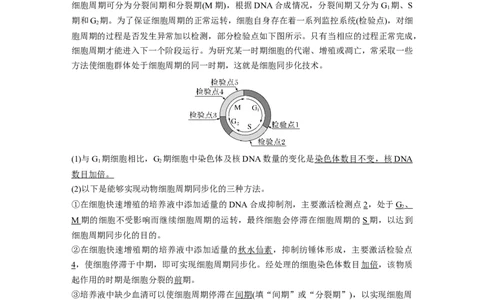 2024年高考生物一轮复习（新人教版）第4单元　第1课时　细胞的增殖_09高考生物_2024年新高考资料_1.2024一轮复习_2024年高考生物一轮复习讲义（新人教版）