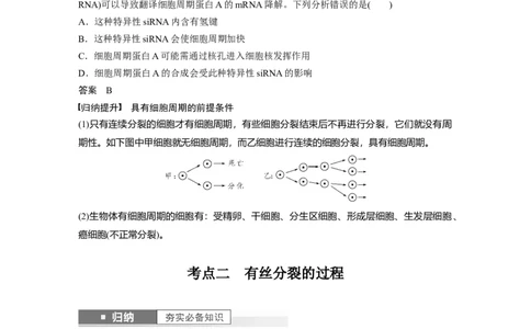 2024年高考生物一轮复习（新人教版）第4单元　第1课时　细胞的增殖_09高考生物_2024年新高考资料_1.2024一轮复习_2024年高考生物一轮复习讲义（新人教版）