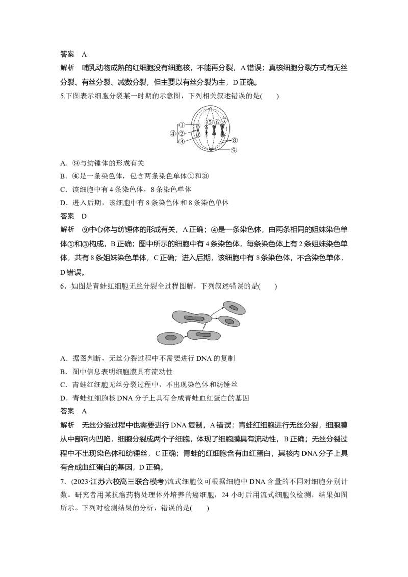 2024年高考生物一轮复习（新人教版）第4单元　第1课时　细胞的增殖_09高考生物_2024年新高考资料_1.2024一轮复习_2024年高考生物一轮复习讲义（新人教版）