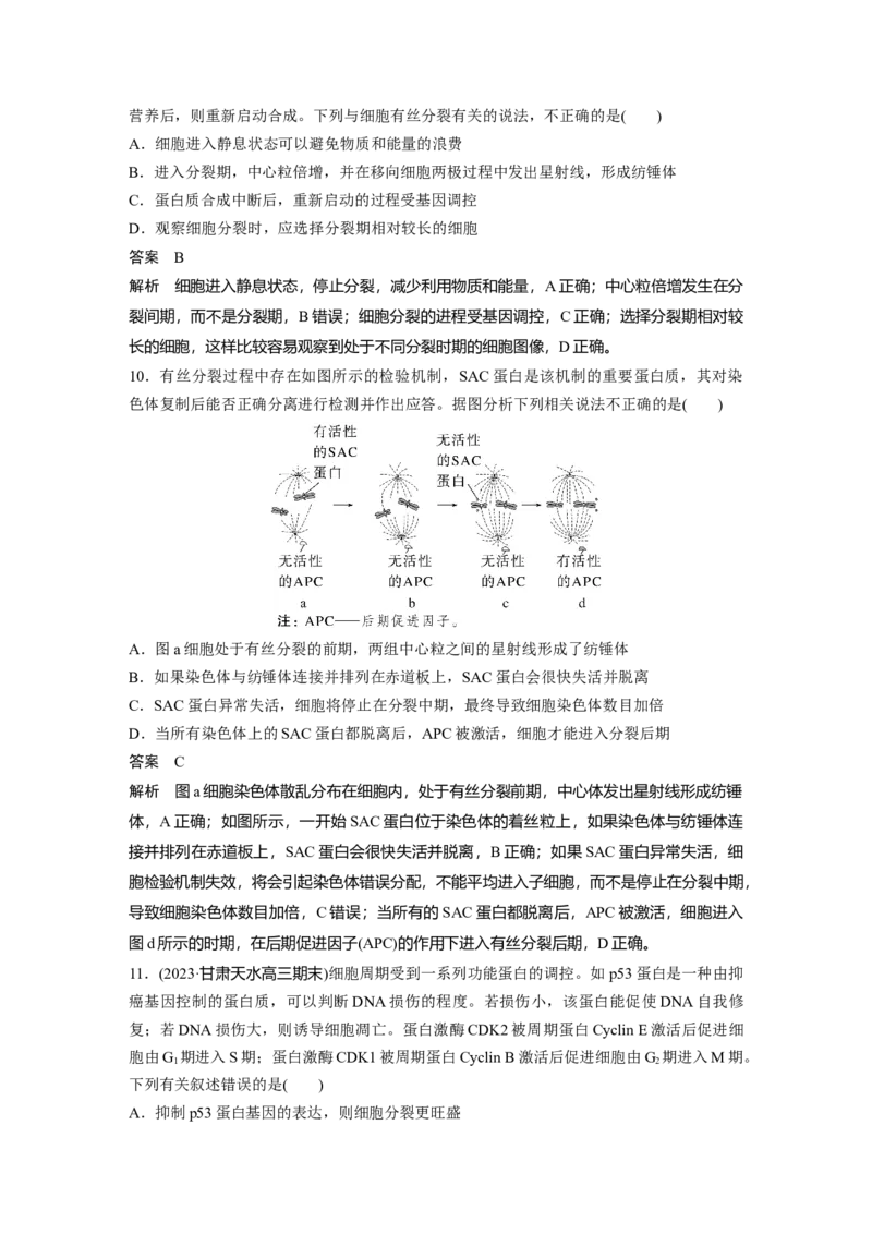 2024年高考生物一轮复习（新人教版）第4单元　第1课时　细胞的增殖_09高考生物_2024年新高考资料_1.2024一轮复习_2024年高考生物一轮复习讲义（新人教版）