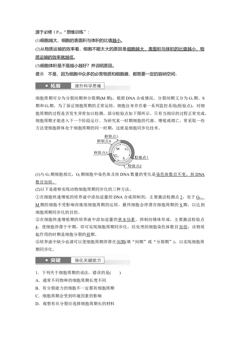 2024年高考生物一轮复习（新人教版）第4单元　第1课时　细胞的增殖_09高考生物_2024年新高考资料_1.2024一轮复习_2024年高考生物一轮复习讲义（新人教版）