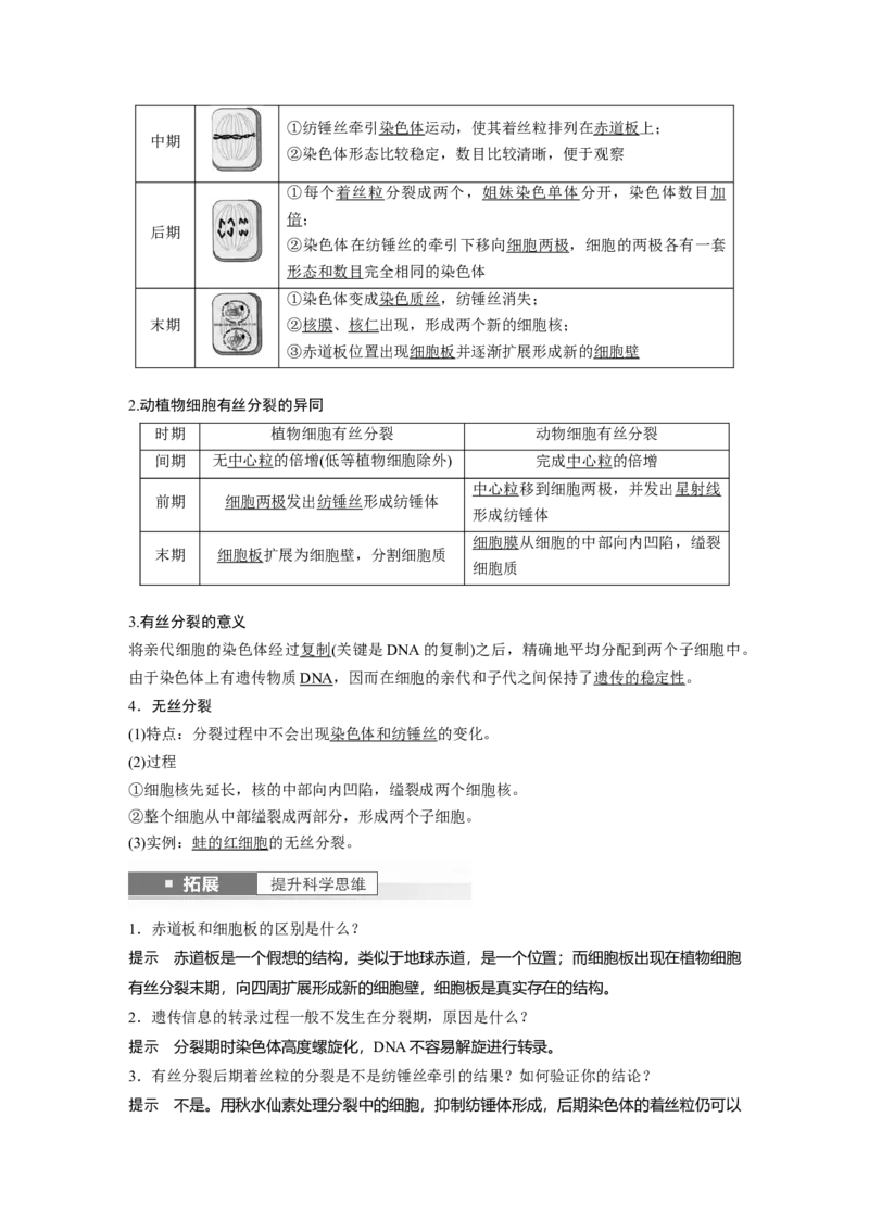 2024年高考生物一轮复习（新人教版）第4单元　第1课时　细胞的增殖_09高考生物_2024年新高考资料_1.2024一轮复习_2024年高考生物一轮复习讲义（新人教版）