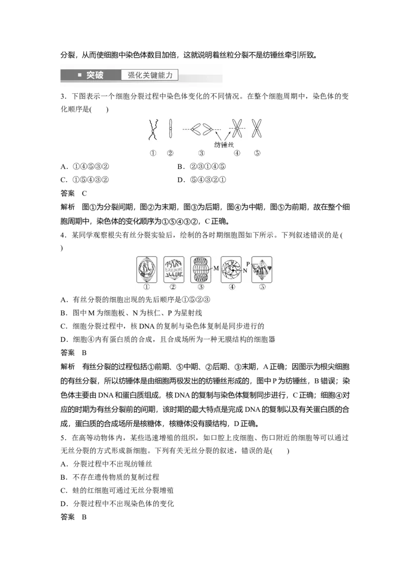 2024年高考生物一轮复习（新人教版）第4单元　第1课时　细胞的增殖_09高考生物_2024年新高考资料_1.2024一轮复习_2024年高考生物一轮复习讲义（新人教版）