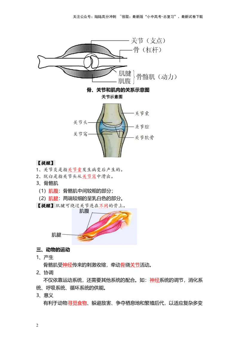 专题17+动物的运动和行为+动物在生物圈中的作用（背记帮）-备战2024年中考生物一轮复习考点帮_02中考总复习（2026版更新中）_08-生物-中考总复习_2024年中考复习资料_一轮复习_必背考点