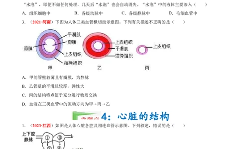 专题07&nbsp;人体内的物质运输和废物排出（原卷版）_02中考总复习（2026版更新中）_08-生物-中考总复习_2024年中考复习资料_专项复习_完三年（2021-2023）中考生物真题分项汇编（全国通用）