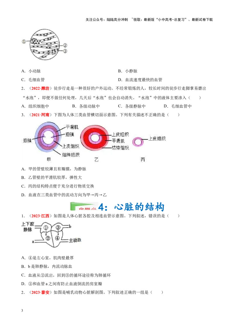 专题07&nbsp;人体内的物质运输和废物排出（原卷版）_02中考总复习（2026版更新中）_08-生物-中考总复习_2024年中考复习资料_专项复习_完三年（2021-2023）中考生物真题分项汇编（全国通用）