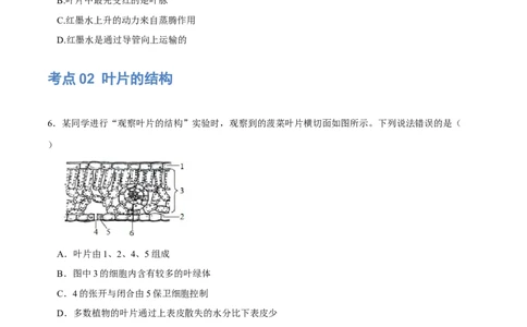 专题06绿色植物与生物圈的水循环（练习）（原卷版）_02中考总复习（2026版更新中）_08-生物-中考总复习_2024年中考复习资料_一轮复习_❤2024年中考生物一轮复习讲练测（全国通用）_练习