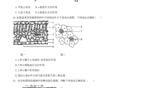 专题06绿色植物与生物圈的水循环（练习）（原卷版）_02中考总复习（2026版更新中）_08-生物-中考总复习_2024年中考复习资料_一轮复习_❤2024年中考生物一轮复习讲练测（全国通用）_练习