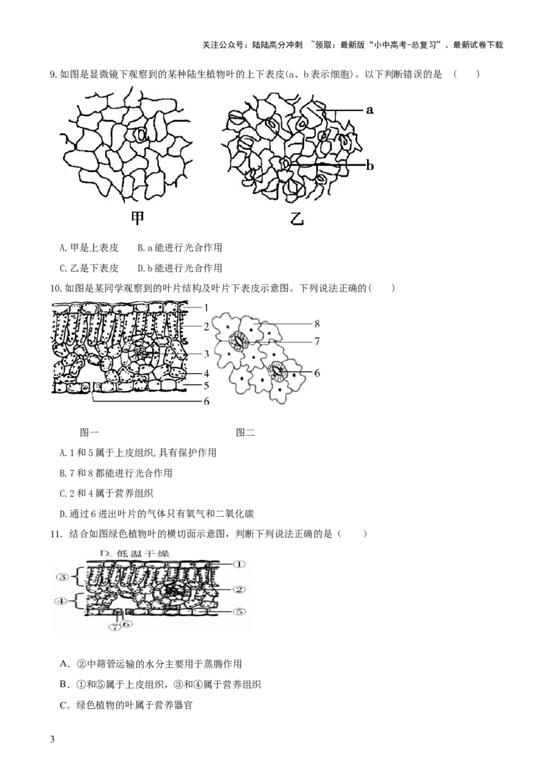 专题06绿色植物与生物圈的水循环（练习）（原卷版）_02中考总复习（2026版更新中）_08-生物-中考总复习_2024年中考复习资料_一轮复习_❤2024年中考生物一轮复习讲练测（全国通用）_练习